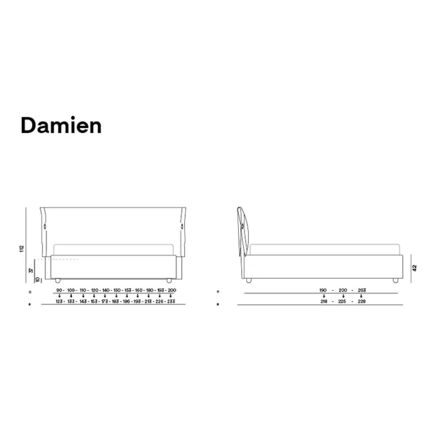 DAMIEN